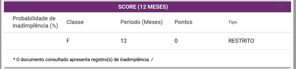Score de CNPJ, consultar score do cliente. Imagem do Score restrito fornecida por Protector Brasil.